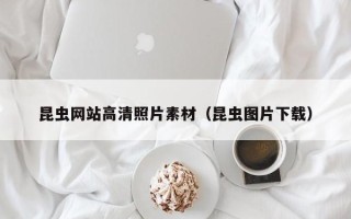 上杭昆虫网站高清照片素材（昆虫图片下载）